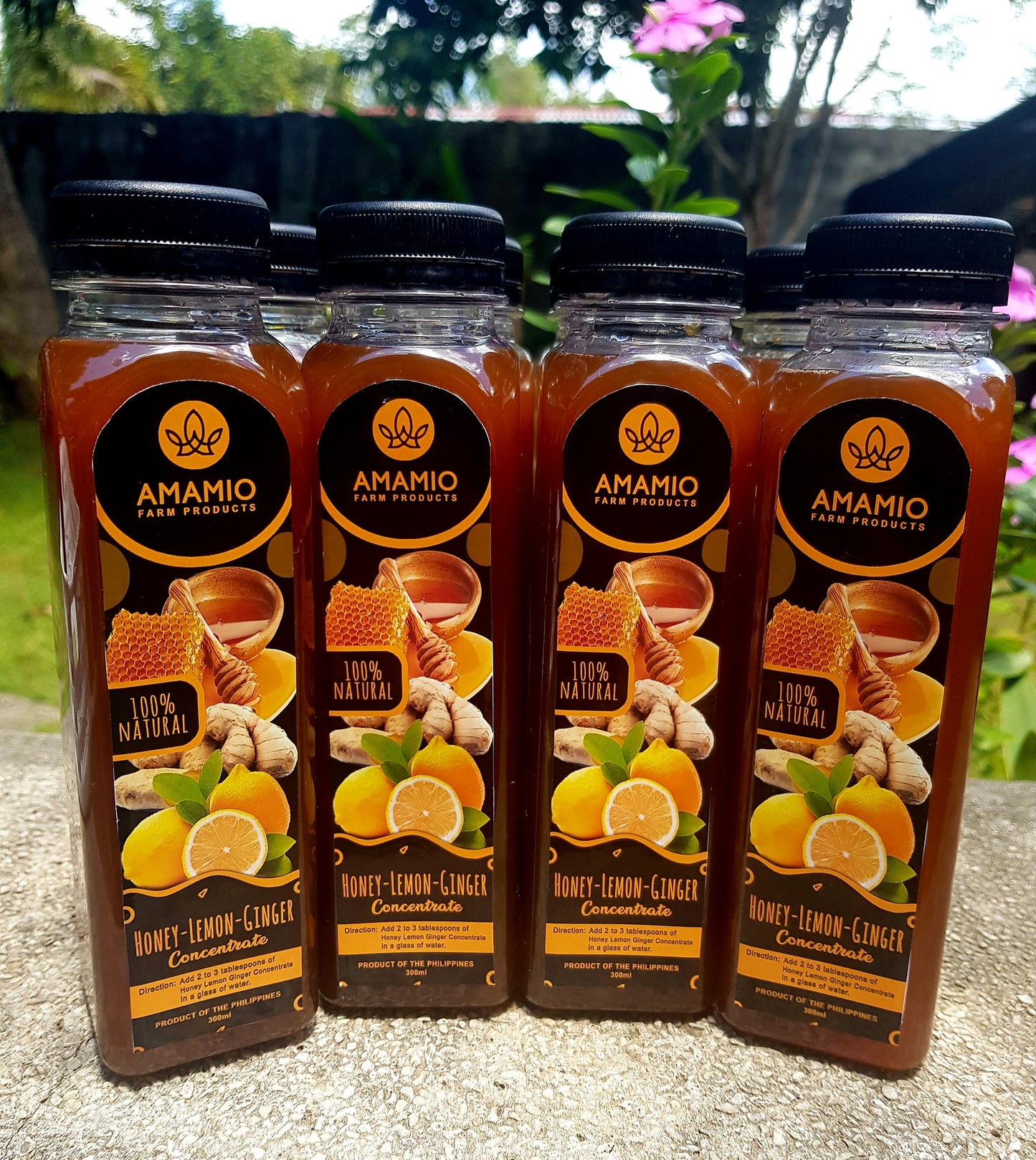 Honey Calamansi & Honey Lemon Ginger Concentrate