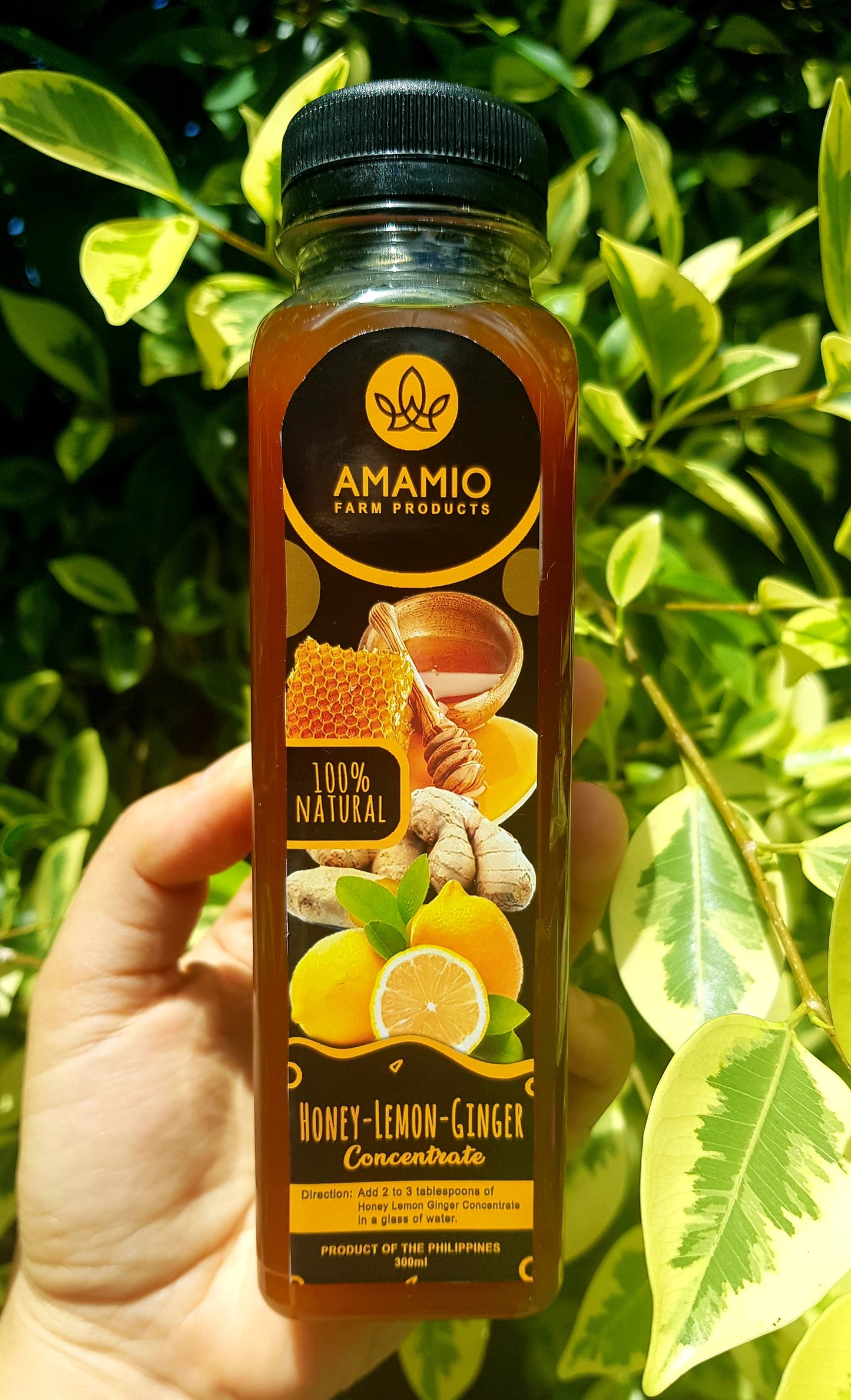 Honey Calamansi & Honey Lemon Ginger Concentrate