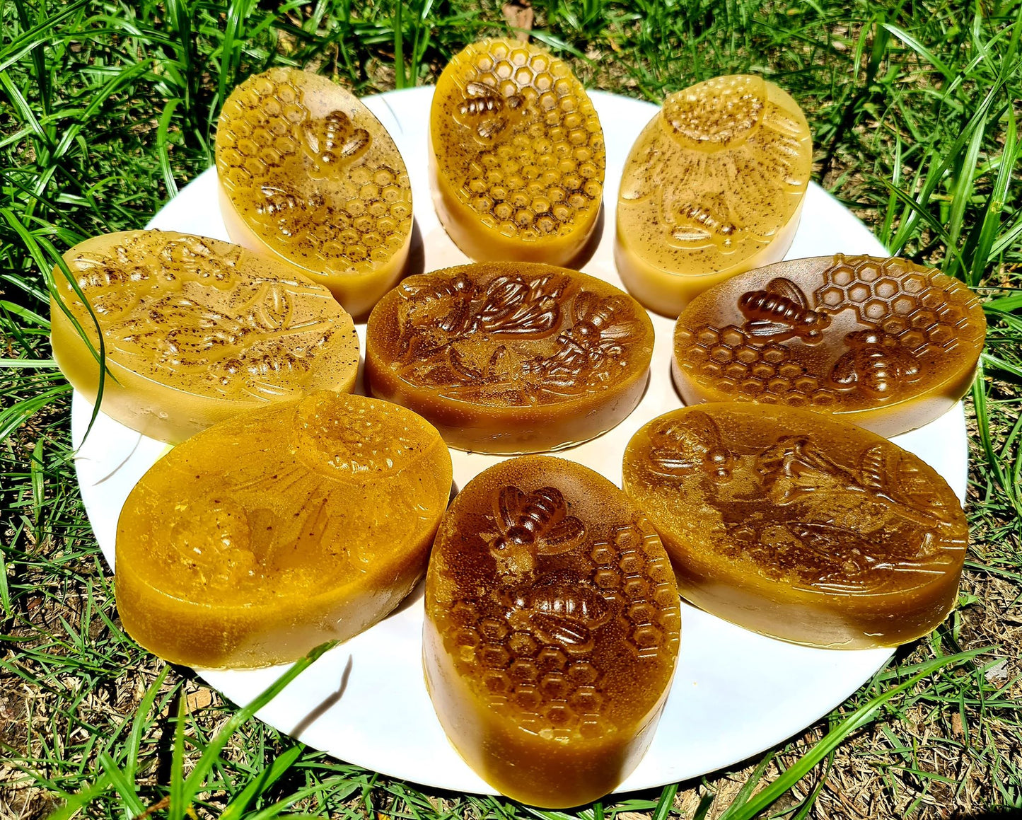 Raw Forest Beeswax 1kilo (20-21pcs)