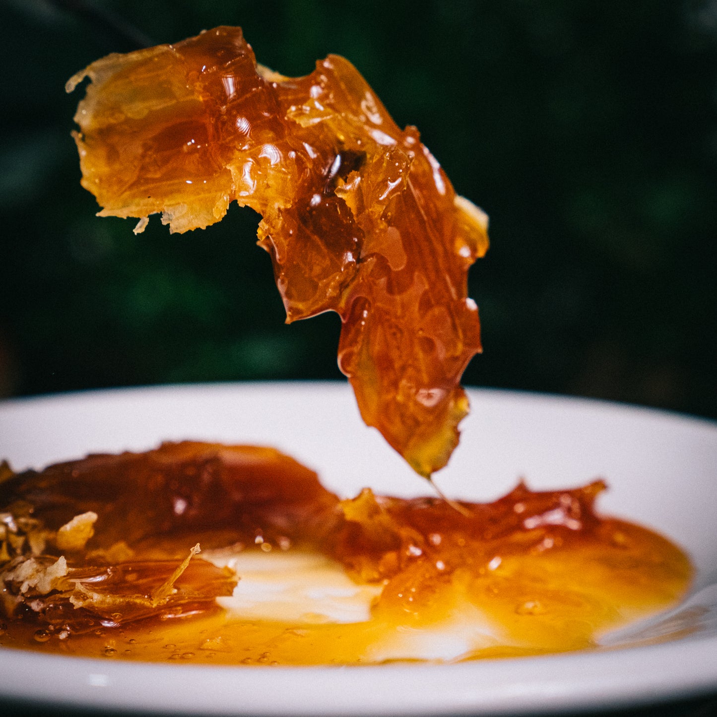 Raw Honey with real honeycomb