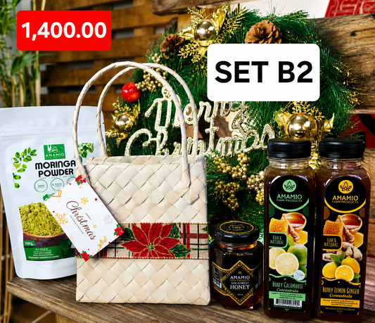 Bag- SET B2